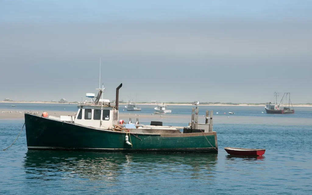Best Lobster Roll: Chatham Pier Fish Market 1 Best Lobster Roll: Chatham Pier Fish Market 1