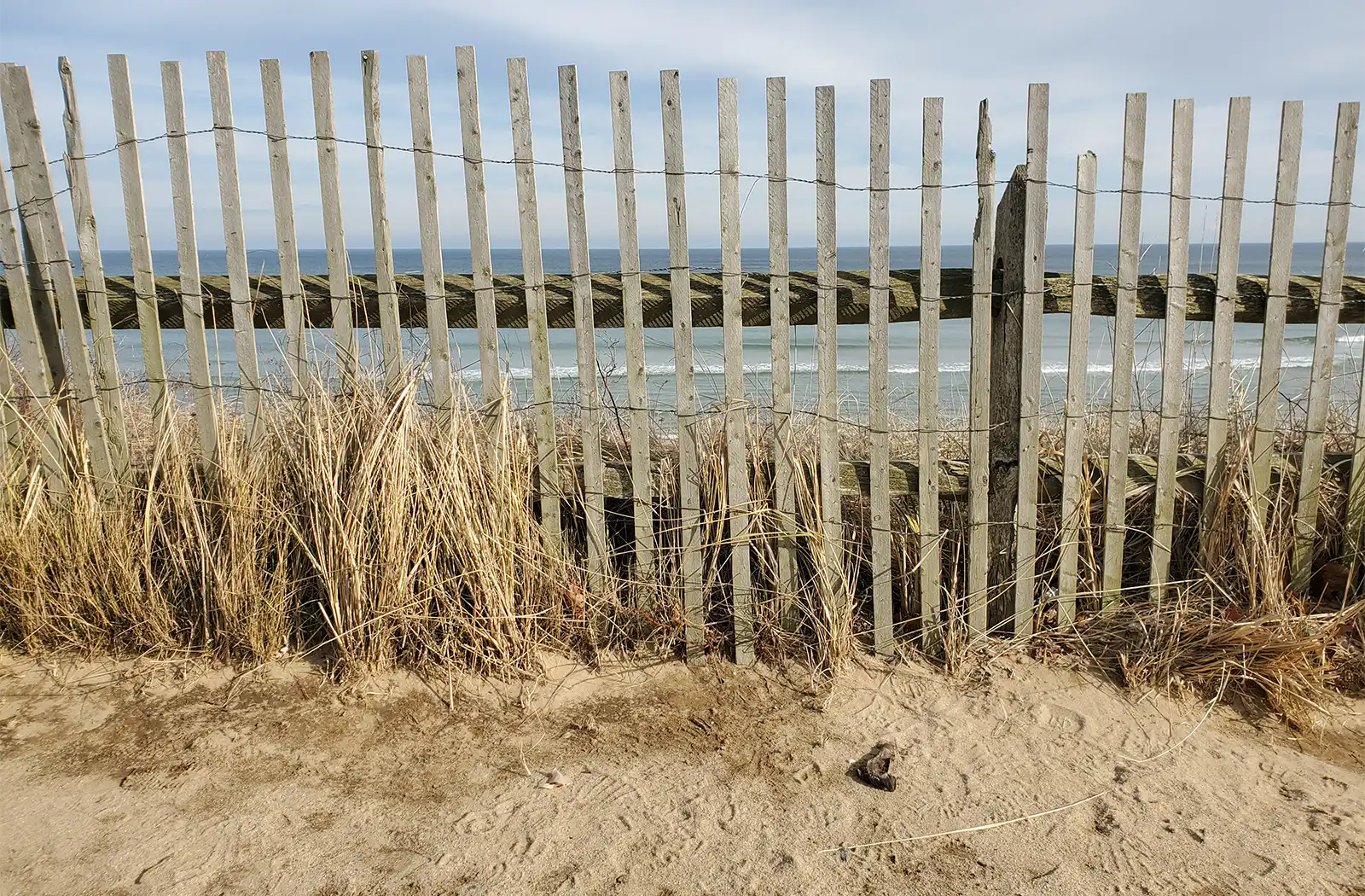 Cape cod beaches have sand dunes to explore